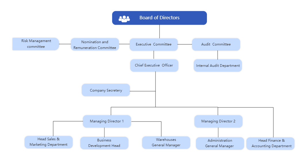 Board Of Directors Orgnizational Chart EdrawMax Templates