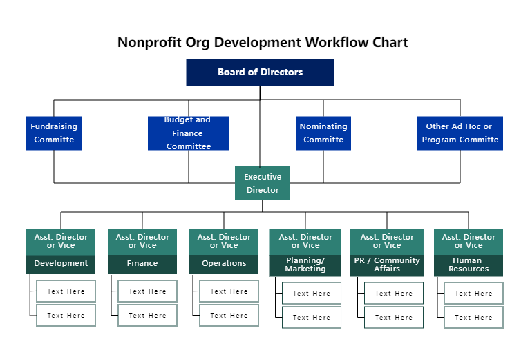 Non Profit Organization Development Org Chart