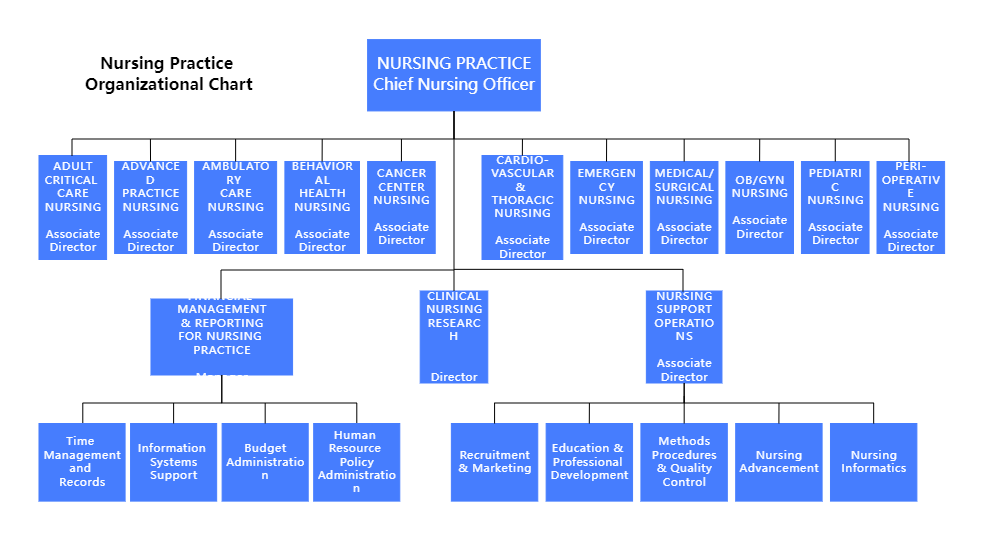 Nursing Practice Organizational Chart