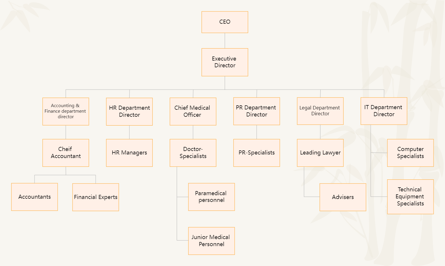 Organizational Chart Of A Private Medical Company