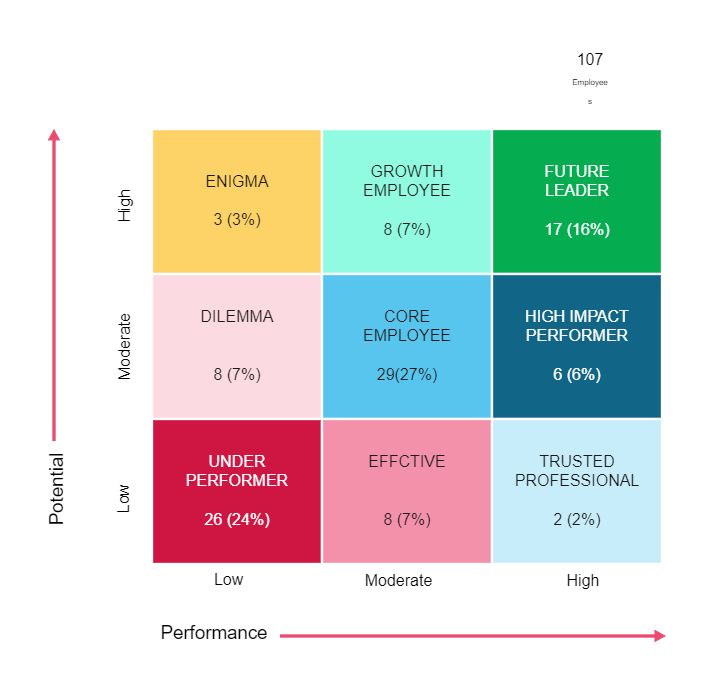 9 Box Grid Talent Management Excel Template EdrawMax EdrawMax Templates