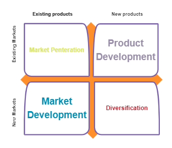 Ansoff Matrix Templates | EdrawMax Free Editable
