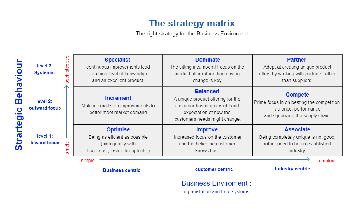 Business Strategy Matrix Example