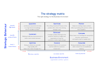 Business Strategy Matrix Example