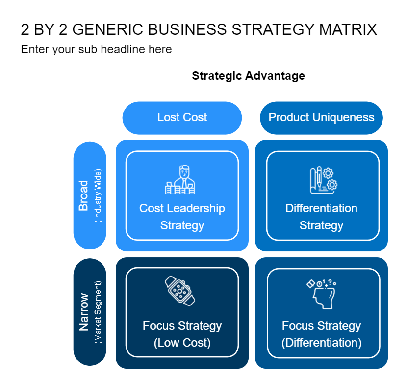 Generic Business Strategy Matrix