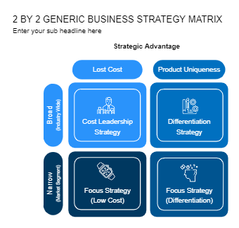 Generic Business Strategy Matrix