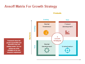 Growth Strategy Matrix Example