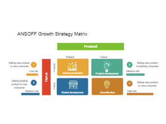 Growth Strategy Matrix