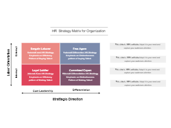 HR Strategy Matrix