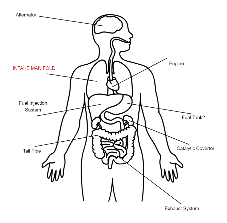 Blank Human Body Diagram