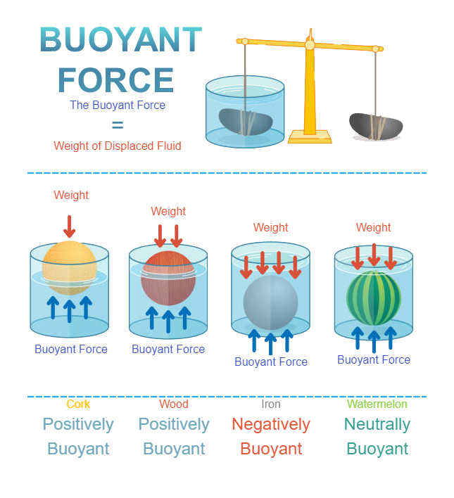 Buoyant Force Illustration