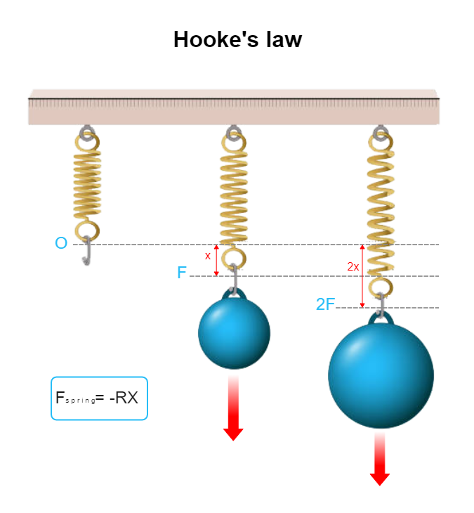 Hooke_s Law Diagram