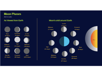 Moon Phases Astronomy Diagram