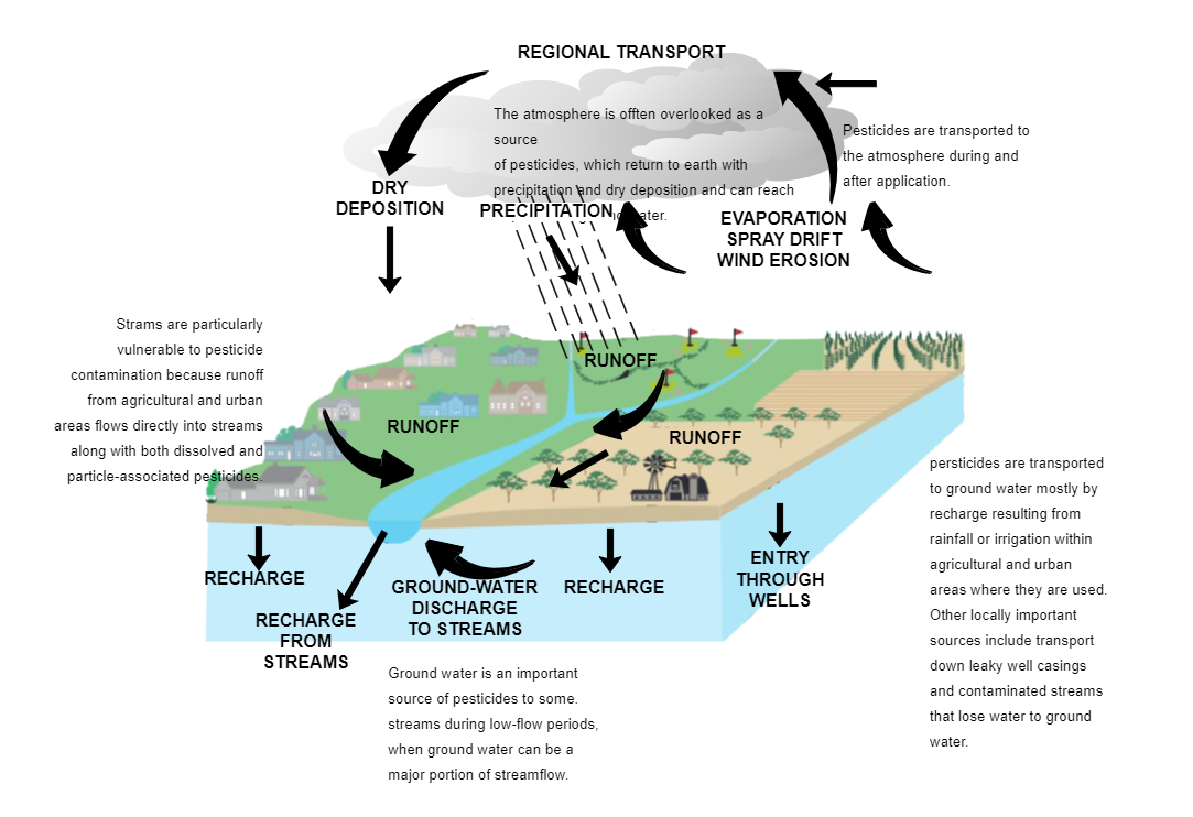 Pesticide Pollution Diagram