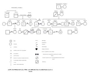 Adultery Emotional Genogram