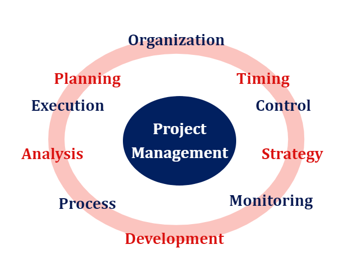 Project Management Process Template Online