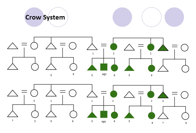 Crow Kinship System Template | EdrawMax Templates