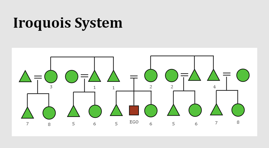 Iroquois Kinship System Template