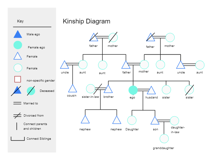 Kinship Diagram Template 