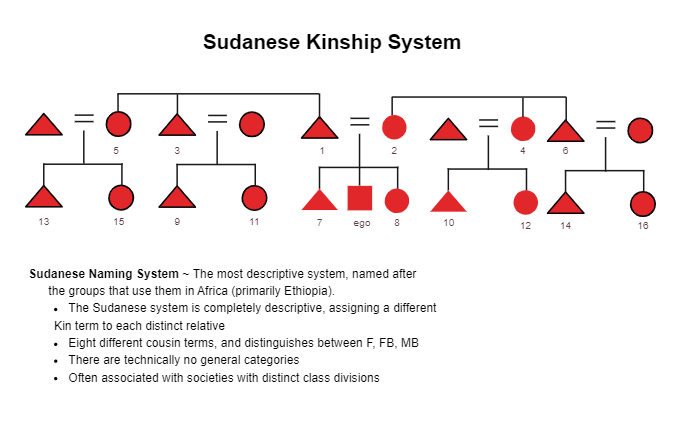 Sudanese Kinship System Template 