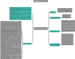 A mind map of the structure of the paper