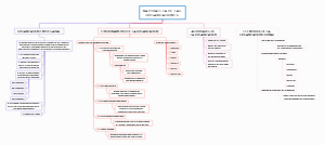 naturaleza de las organizaciones