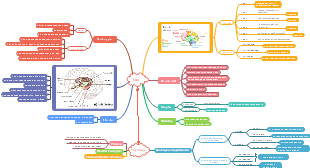 Các thành phần và chức năng của hệ thần kinh trung ương