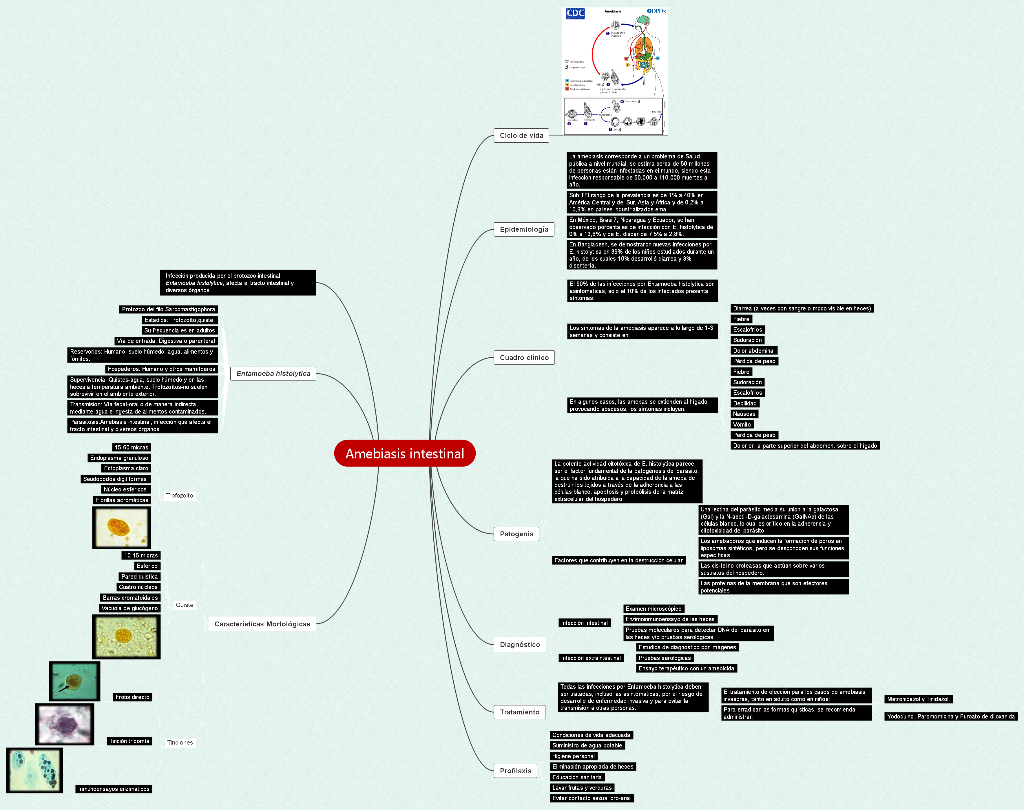 Amebiasis intestinal