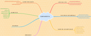 MAPA MENTAL 