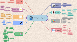 A Comprehensive Guide to Crafting Structured Lab Reports