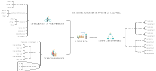 DISTRIBUCION DE MEDIOS