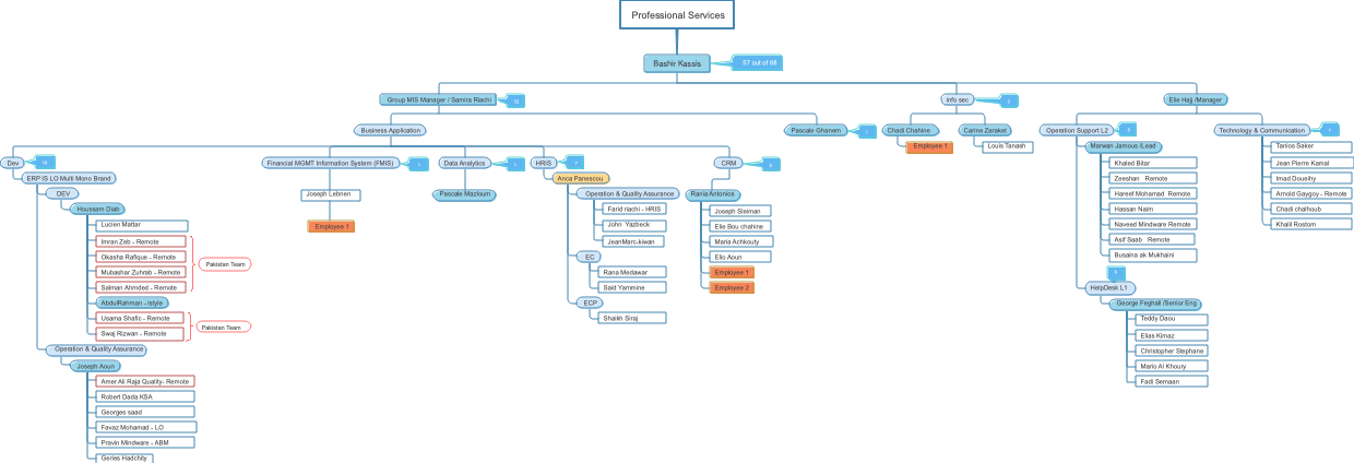 IT Department Structure