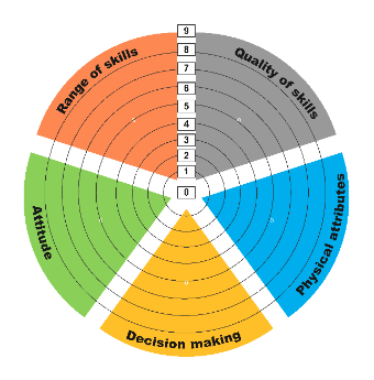 Skill Assessment Radial Chart