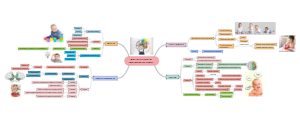 Brain maturation after birth - Maduracion cerebral despues del nacimiento