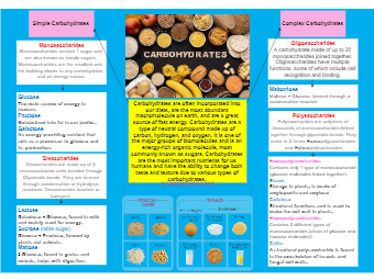 Carbohydrates Graphic Organizer