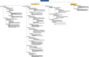 Phép biện chứng duy vật