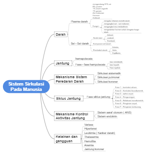 sistem sirkulasi pada manusia