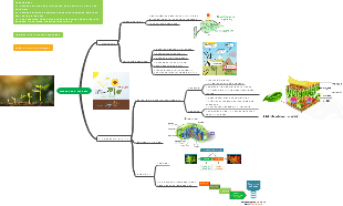 Quang hợp ở thực vật