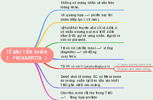 Cấu Trúc Tế Bào Prokaryota