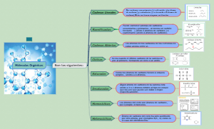 Moleculas Orgánicas y sus Estructuras
