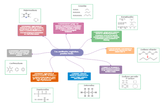 Las moléculas orgánicas pueden tener