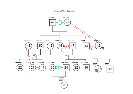 Individual Family information tree genogram - EdrawMax