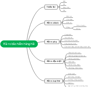 Rủi Ro Bảo Hiểm Hàng Hải