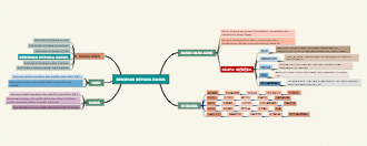 beriman kepada rasul