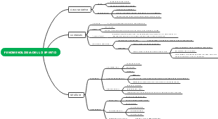 Fenomenologia dello Spirito: Contenuto e Struttura dell’Opera di Hegel