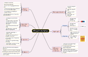 Kế hoạch 4 năm đại học