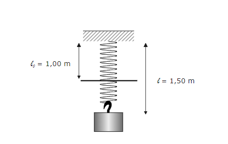 Veer Experiment Diagram