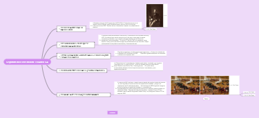 La Segunda Intervención Francesa en México