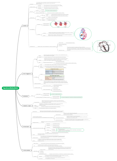 Aparato cardiocirculatorio