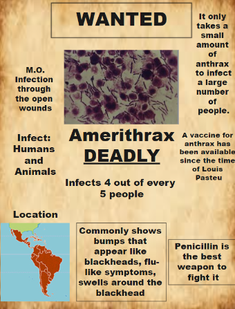 The 2001 anthrax attacks, also known as Amerithrax, occurred in the United States of America over several weeks, beginning on Sept. 8, 2001. It should be noted here that an infographic is a graphic visual representation of information, data, or knowledge 